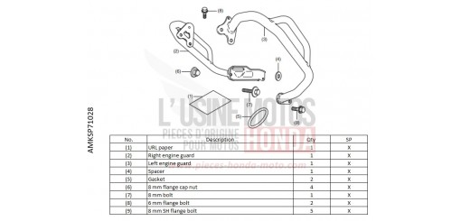 KIT,ENG GUARD CRF1100D4N de 2022